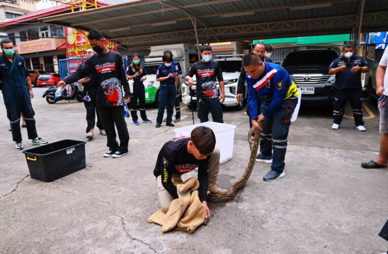 กู้ภัยมูลนิธิสว่างพรกุศลระยอง ติวเข้มเจ้าหน้าที่ให้มีความชำนาญการใช้อุปกรณ์จับและช่วยเหลือสัตว์อันตราย และบาดเจ็บ