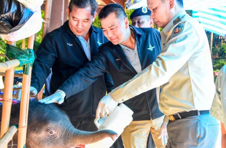 หัวหน้าชุดมวลชนสัมพันธ์มูลนิธิ อนุรักษ์ป่ารอยต่อ 5 จังหวัดรับรายงานจาก ผอ.สำนักบริหารพื้นที่อนุรักษ์ ที่ 2 (ศรีราช) กรณีลูกช้างป่าพลัดหลง