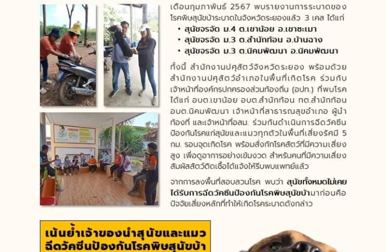 ก.พ. 2567 พบ โรคพิษสุนัขบ้า ระบาดแล้ว ในเขต อ.เขาชะเมา อ.บ้านฉาง และ อ.นิคมพัฒนา จ.ระยอง